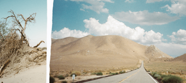 screen-shot-2016-07-25-at-15-57-40